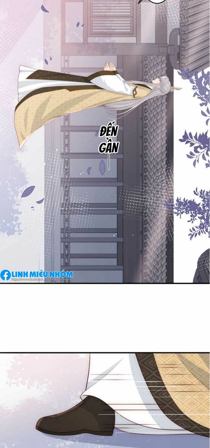 Chương 95 - Trang 17
