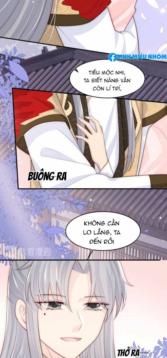 Chương 95 - Trang 24