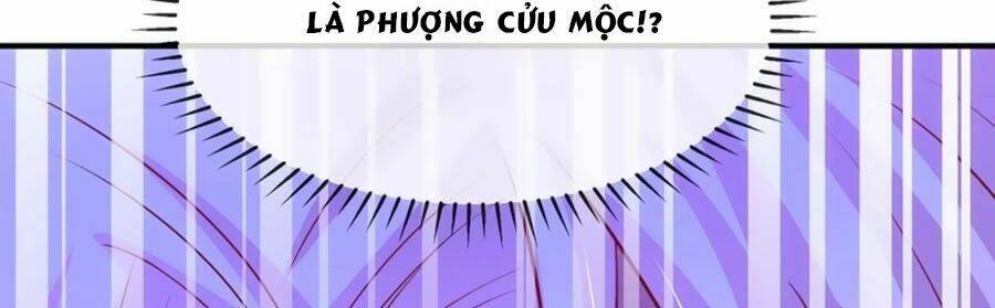 Chương 16 - Trang 61