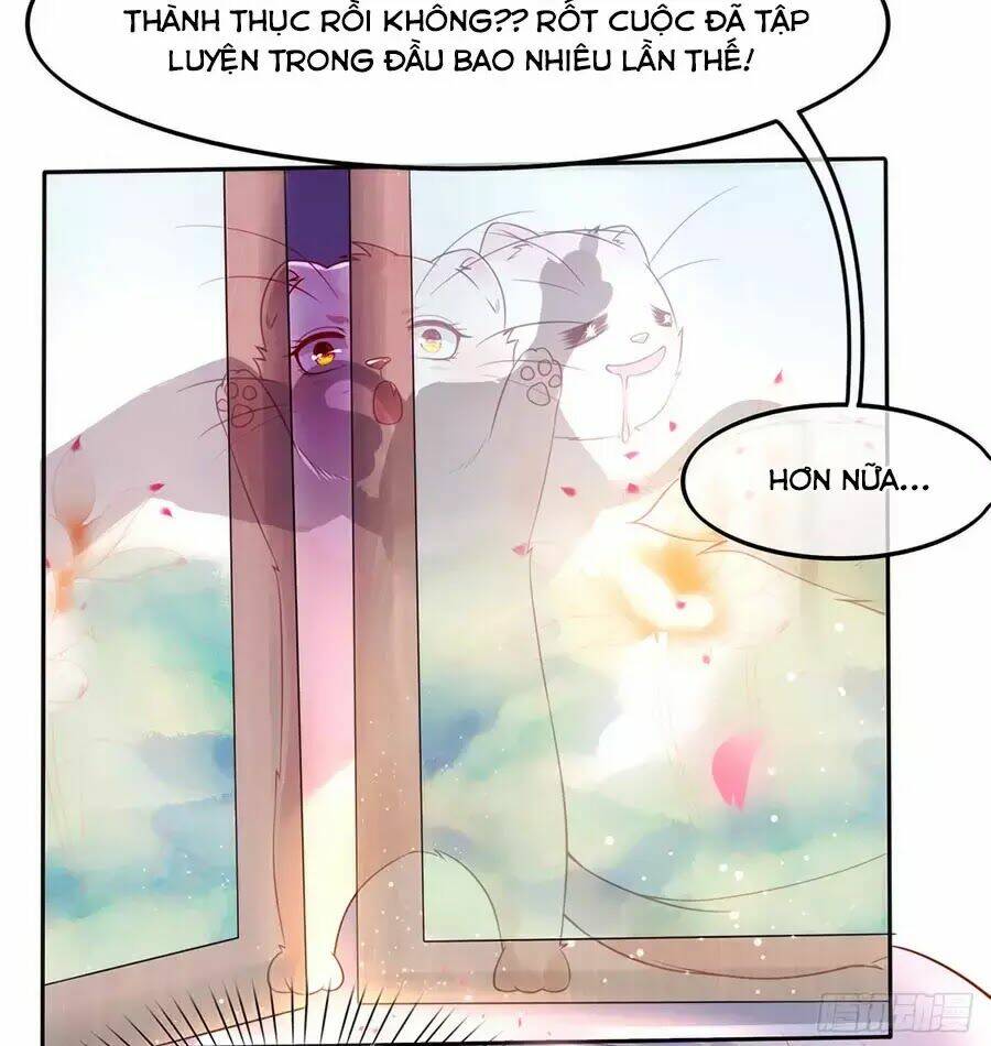 Chương 2 - Trang 11