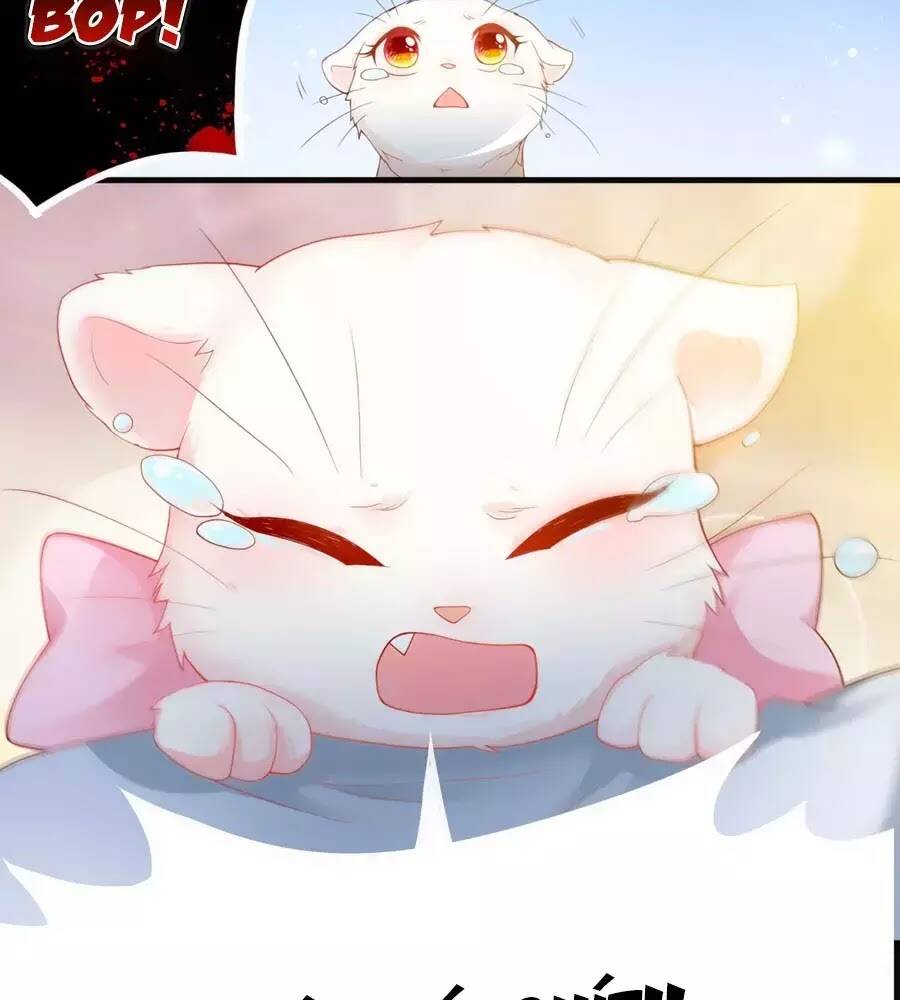 Chương 5 - Trang 91