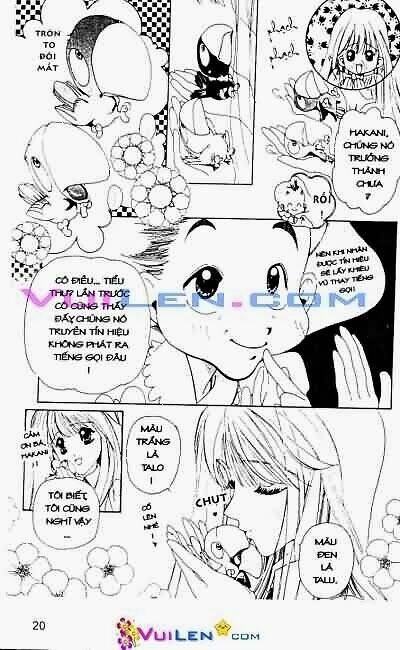 Trang 20