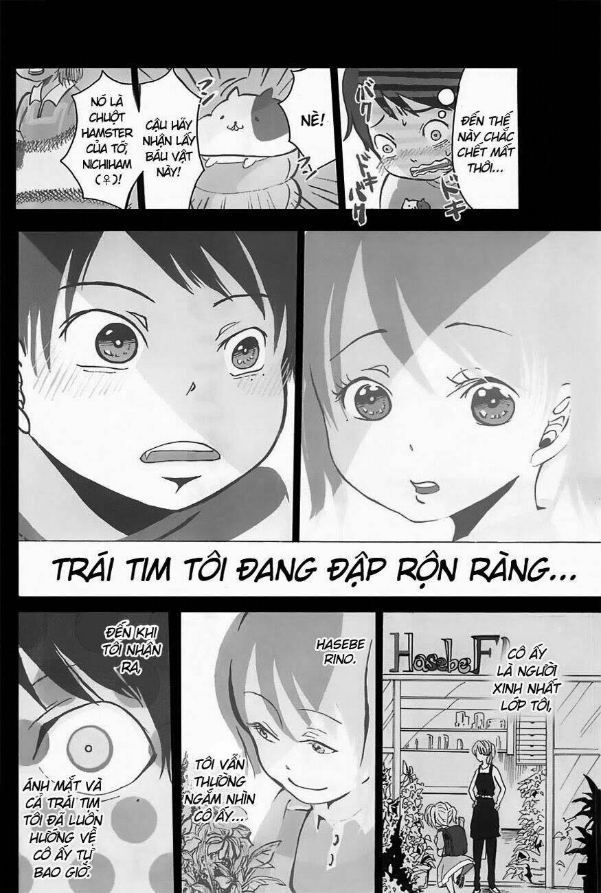 Chương 1 - Trang 13