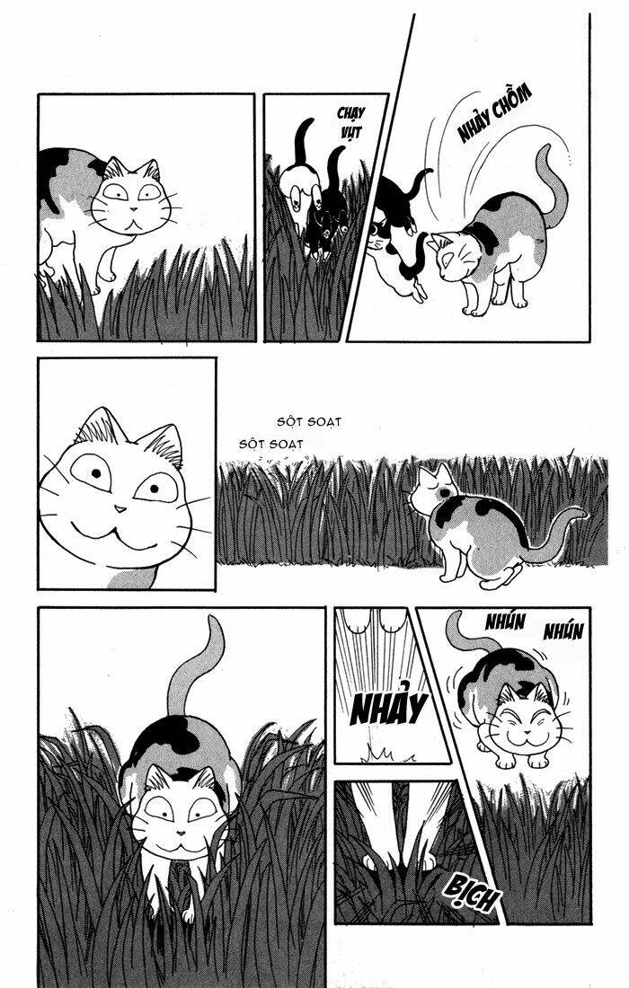 Chương 21 - Trang 5