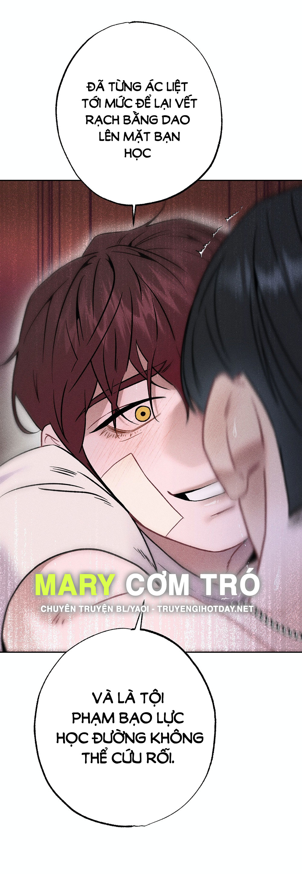 Trang 31