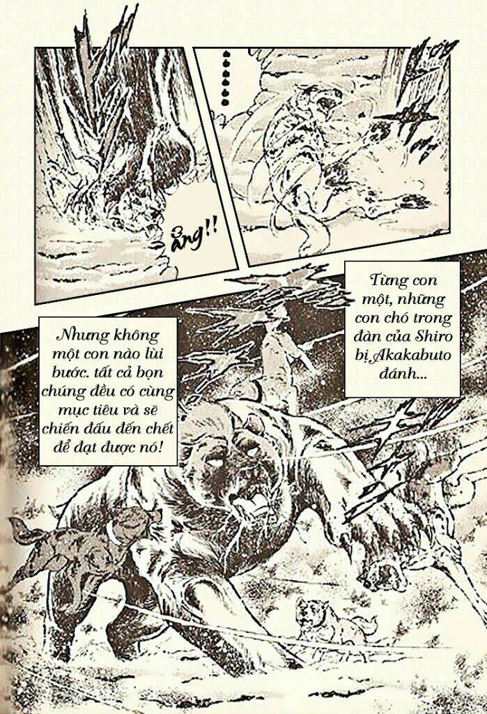 Chương 6 - Trang 21