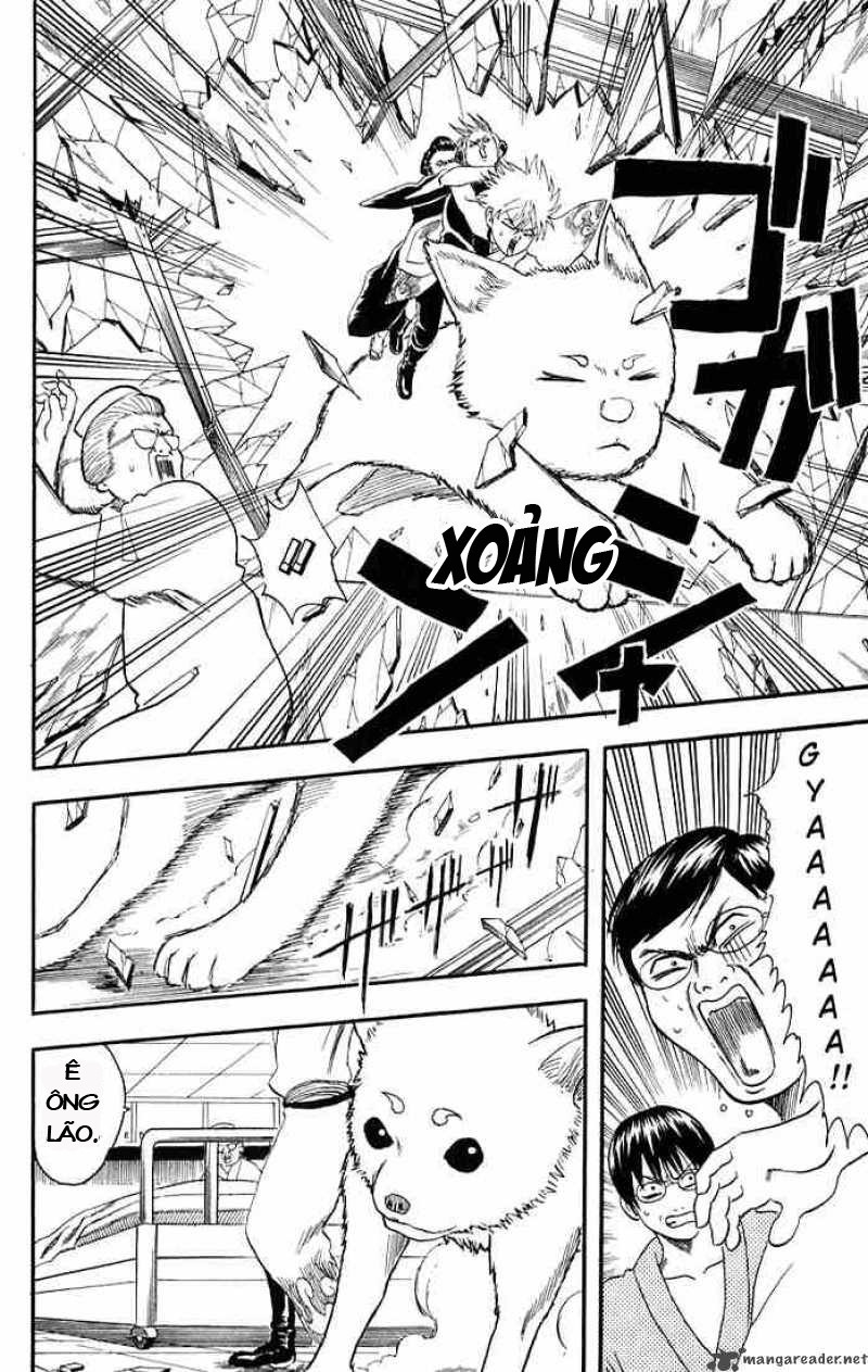 Chapter 11 - Trang 16