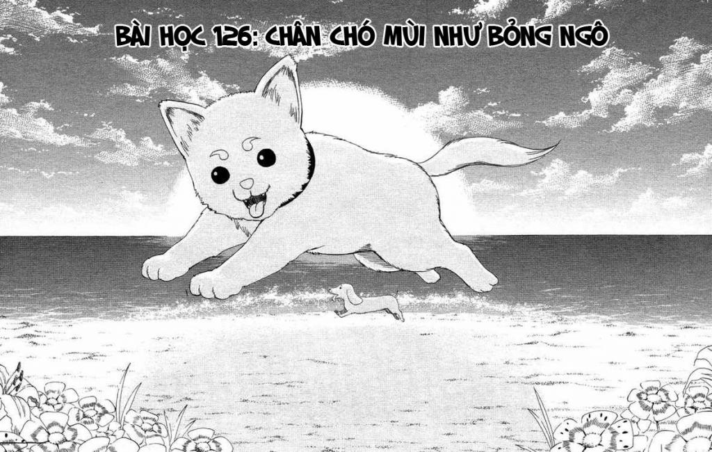 Chapter 126 - Trang 2