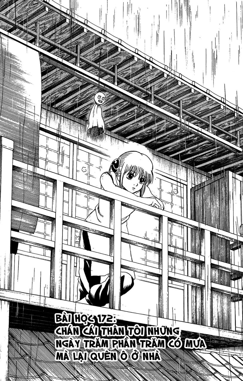 Chapter 172 - Trang 5