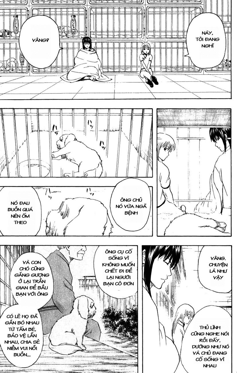 Chapter 207 - Trang 12