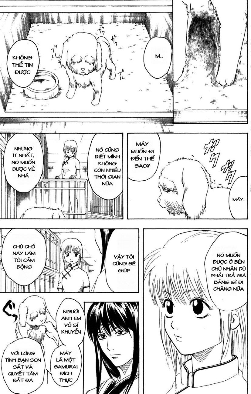 Chapter 207 - Trang 14
