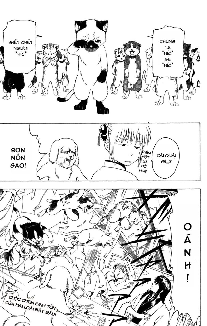 Chapter 207 - Trang 22