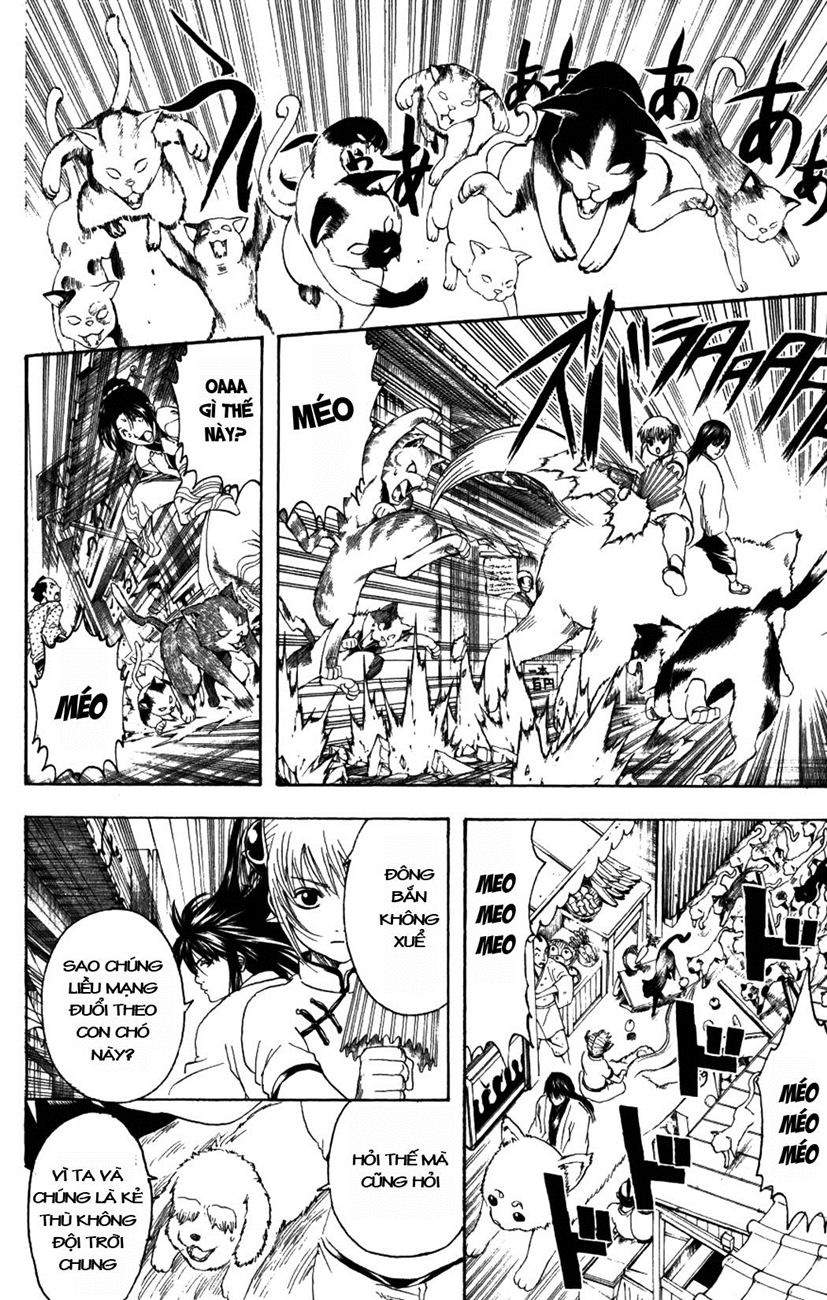 Chapter 208 - Trang 7