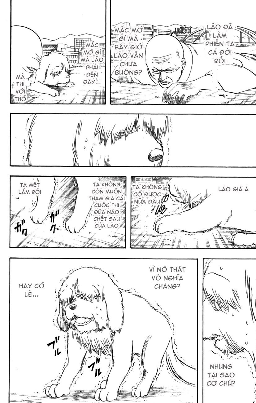 Chapter 209 - Trang 19