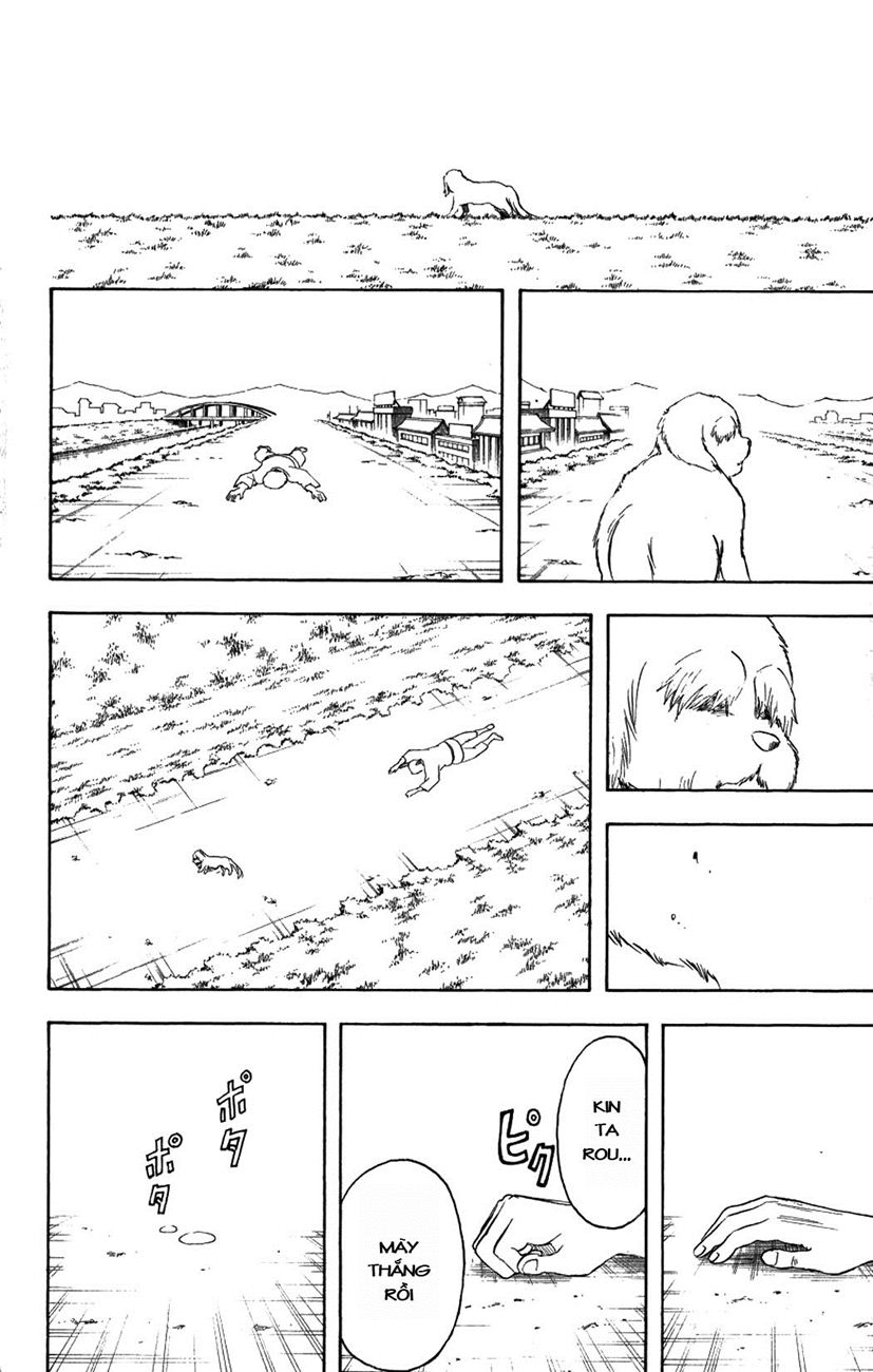Chapter 209 - Trang 21
