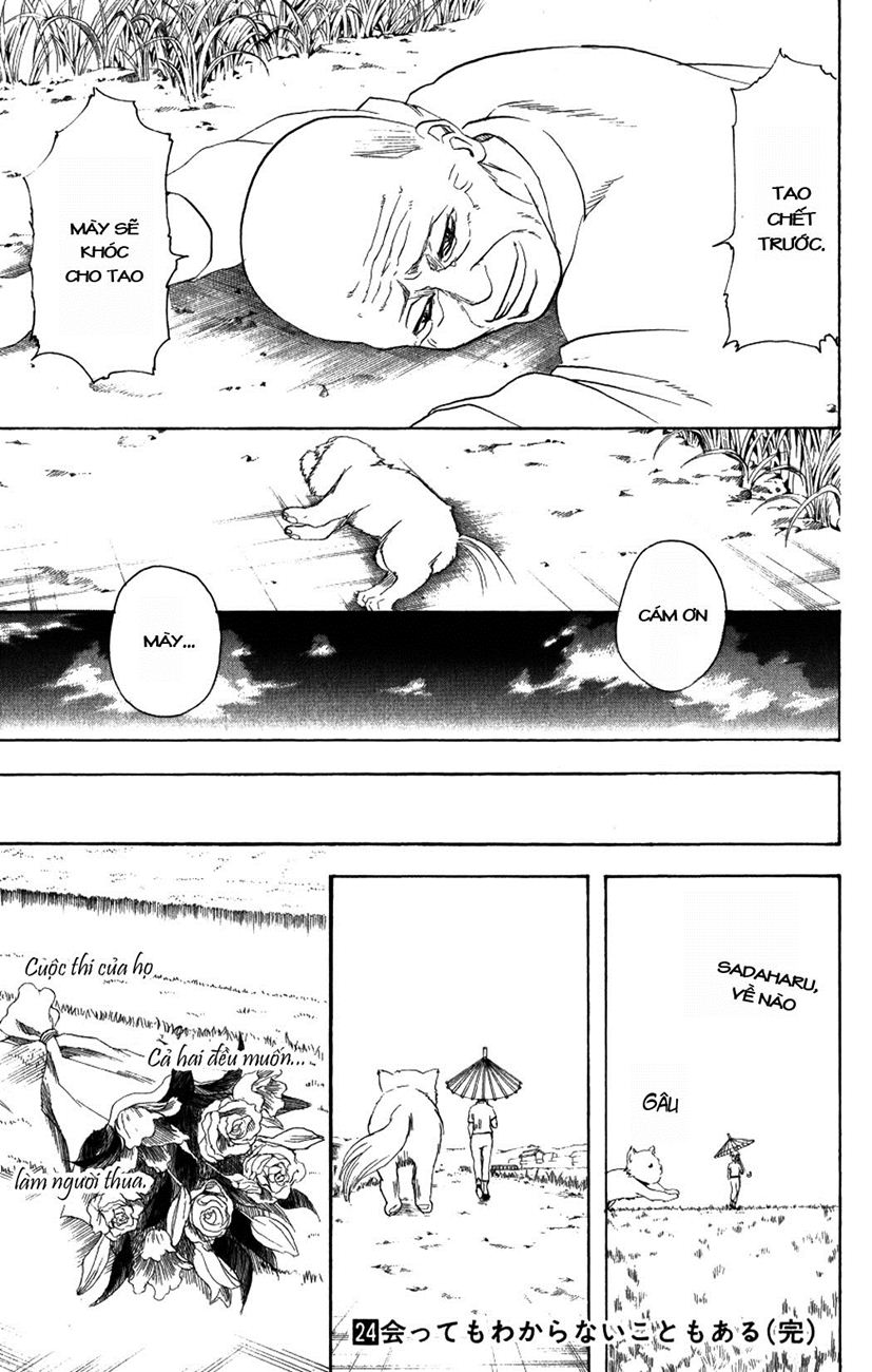 Chapter 209 - Trang 22