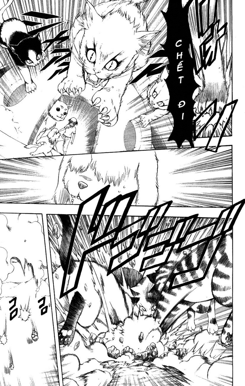 Chapter 209 - Trang 6