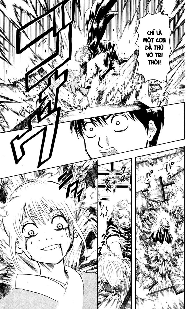 Chapter 219 - Trang 14