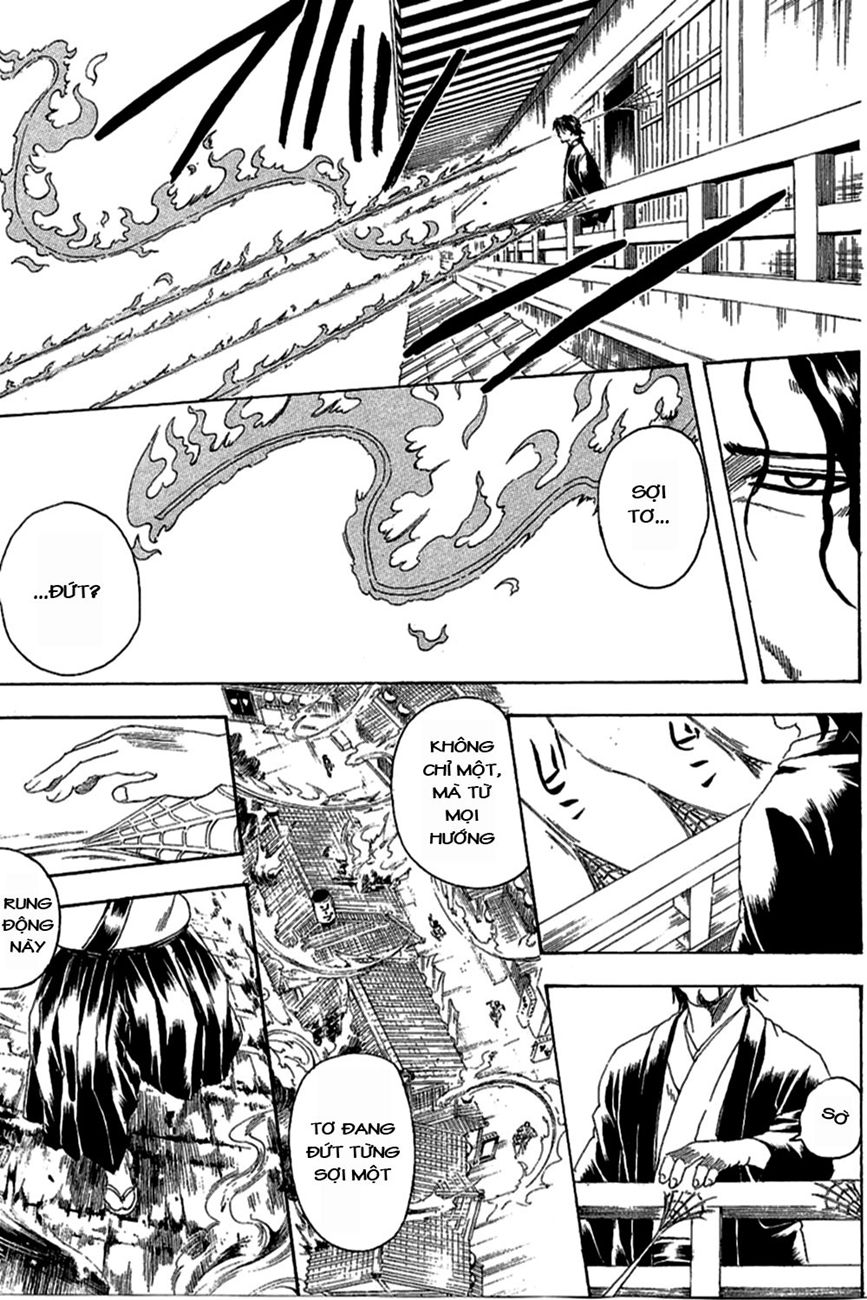 Chapter 258 - Trang 7