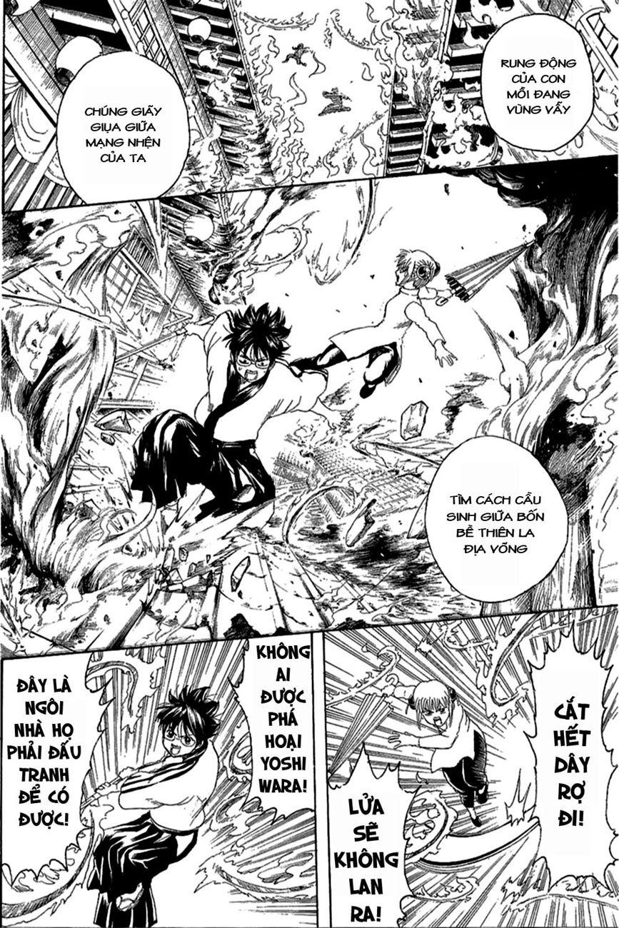 Chapter 258 - Trang 8