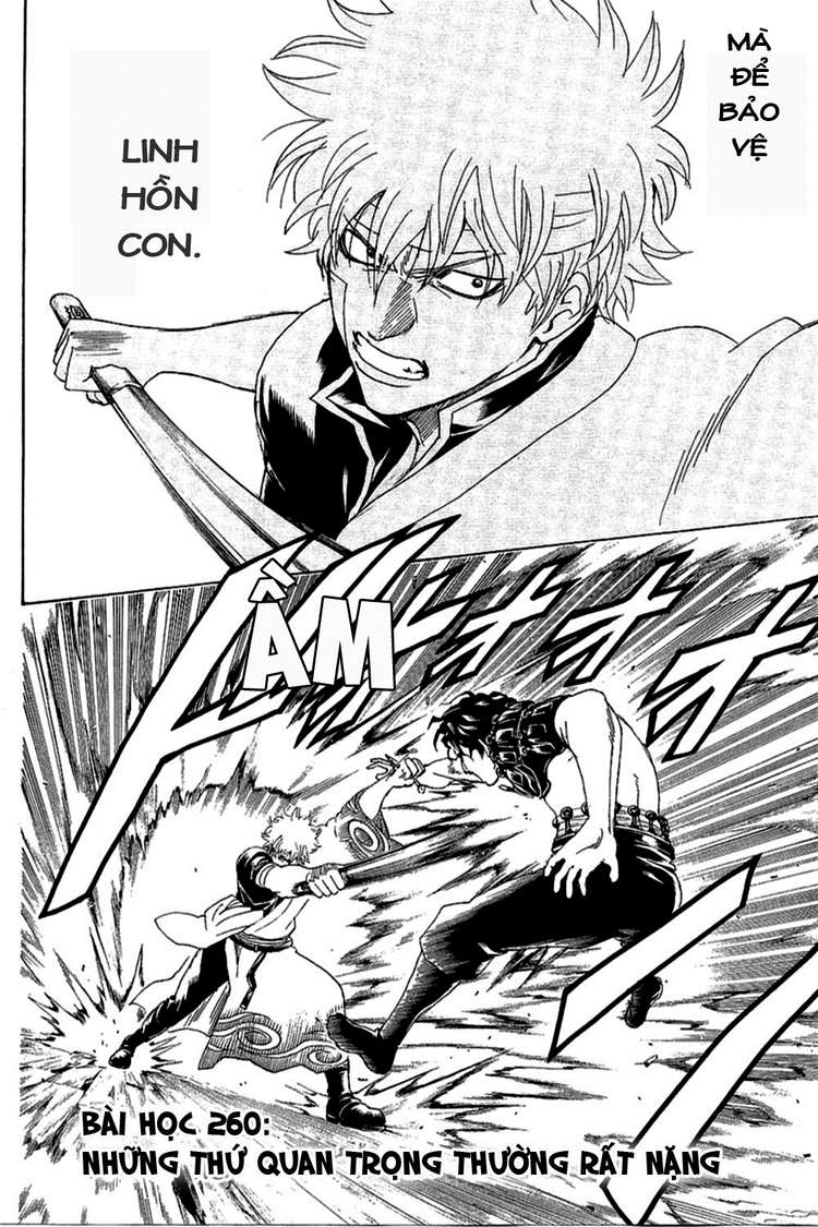 Chapter 260 - Trang 5