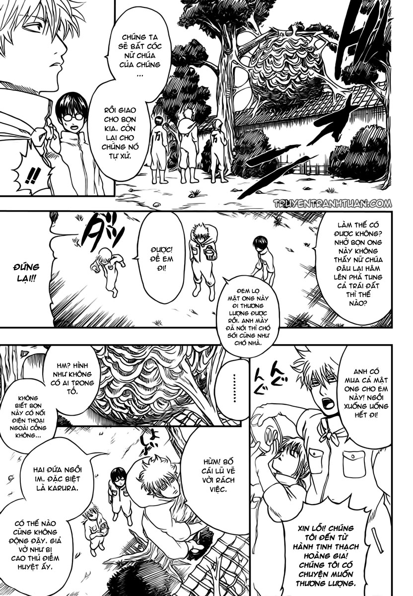 Chapter 269 - Trang 14