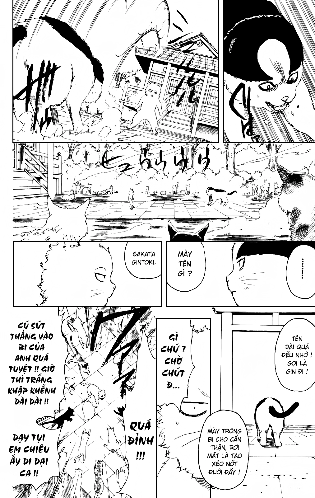 Chapter 275 - Trang 16