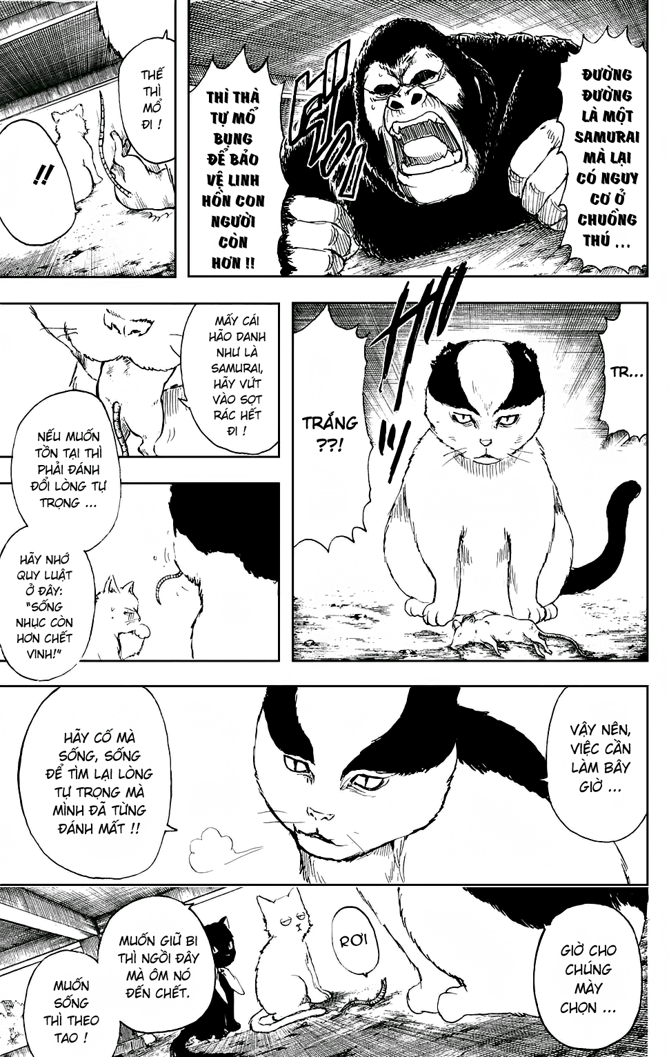 Chapter 276 - Trang 5