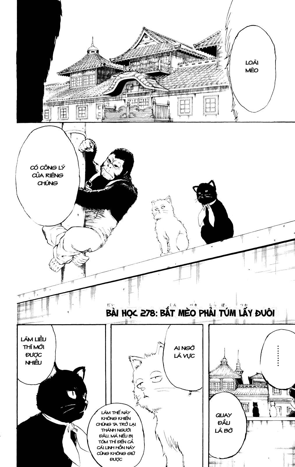 Chapter 278 - Trang 6