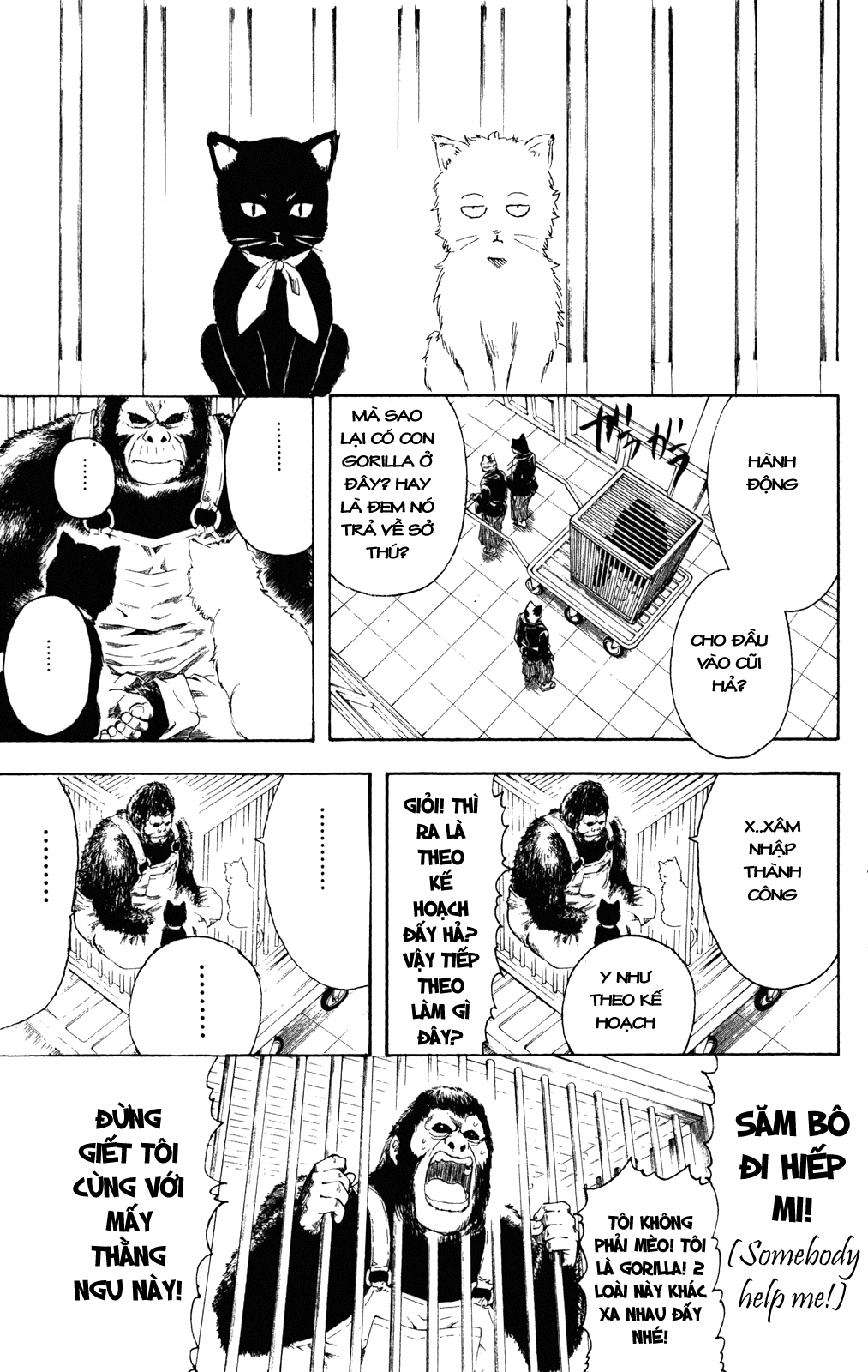 Chapter 278 - Trang 9