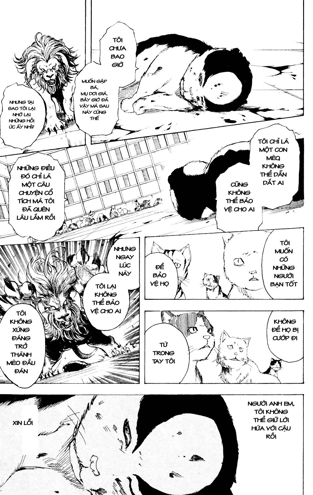 Chapter 279 - Trang 11
