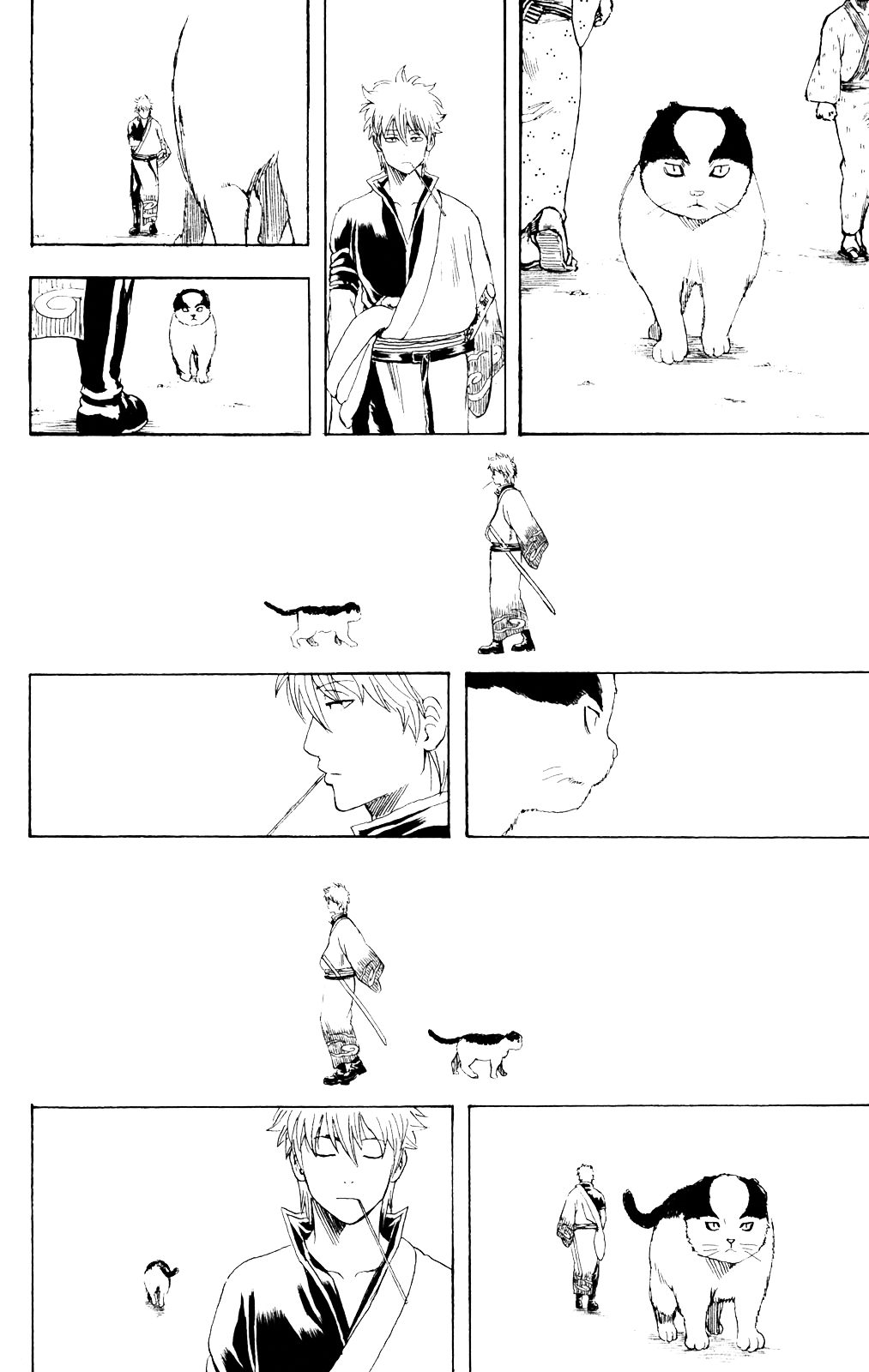 Chapter 279 - Trang 22
