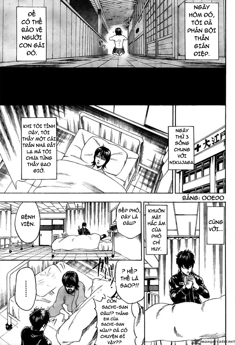 Chapter 293 - Trang 17