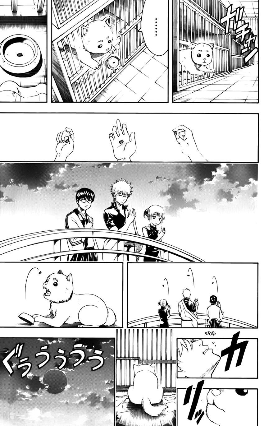 Chapter 402 - Trang 23