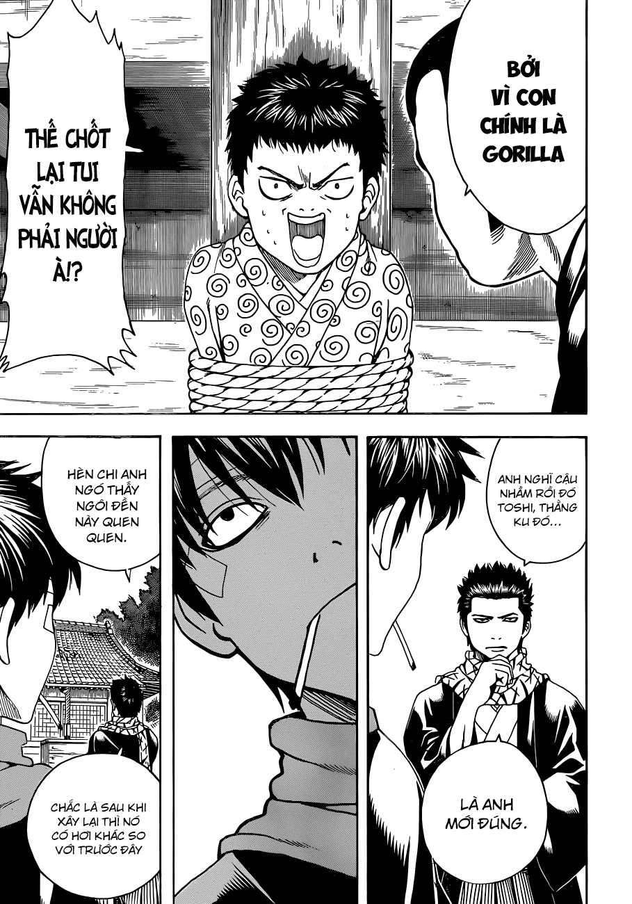 Chapter 482 - Trang 19
