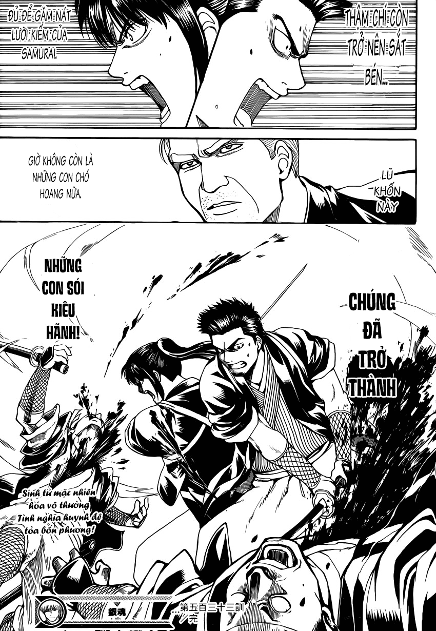 Chapter 533 - Trang 20