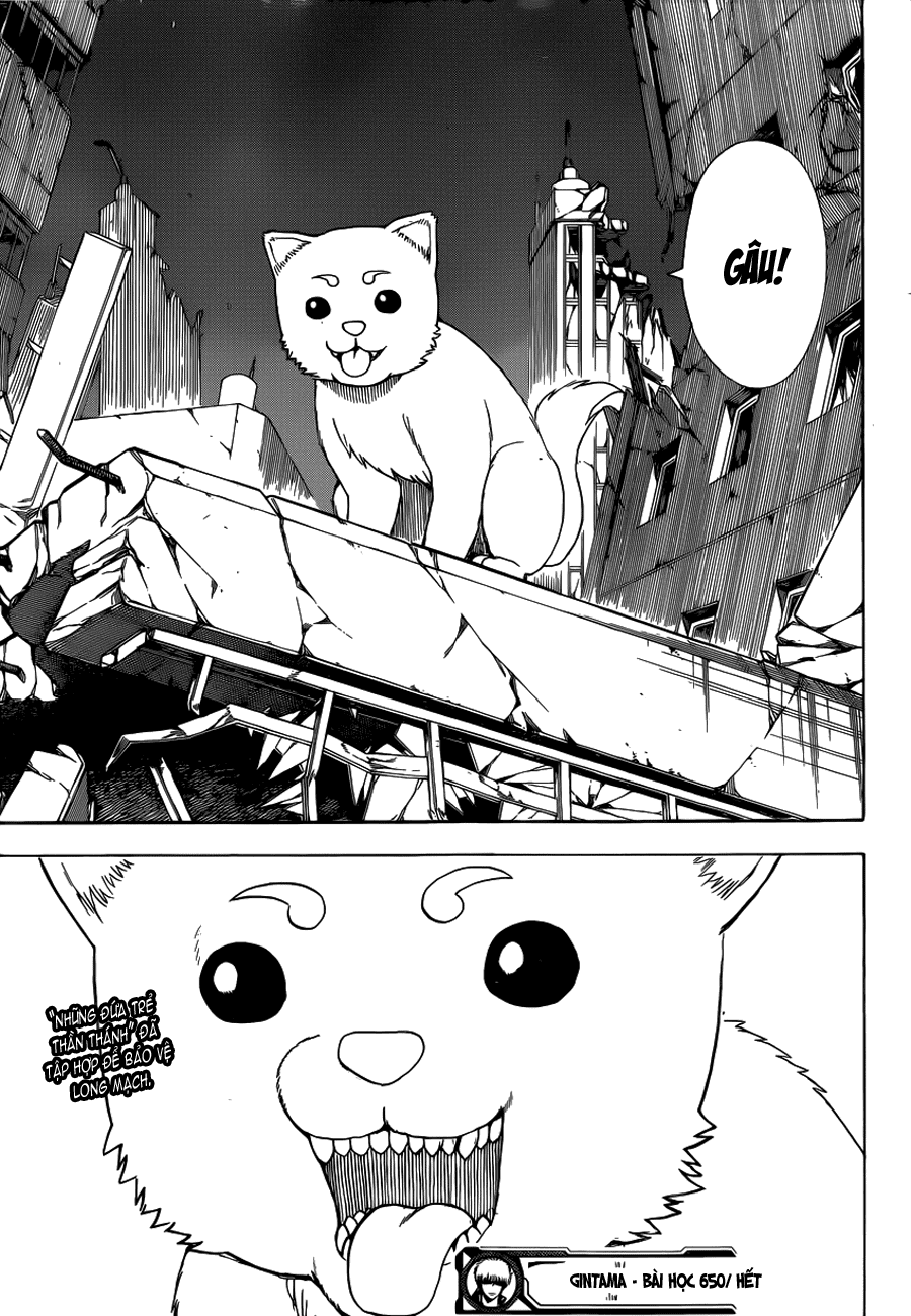 Chapter 650 - Trang 20