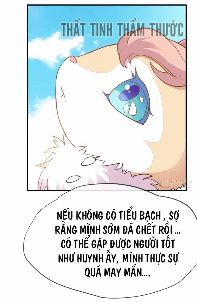 Chương 33 - Trang 52