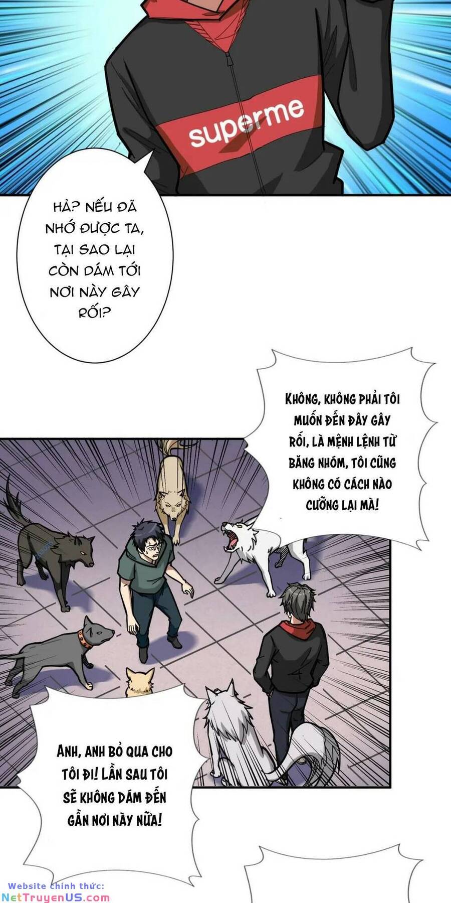 Trang 19