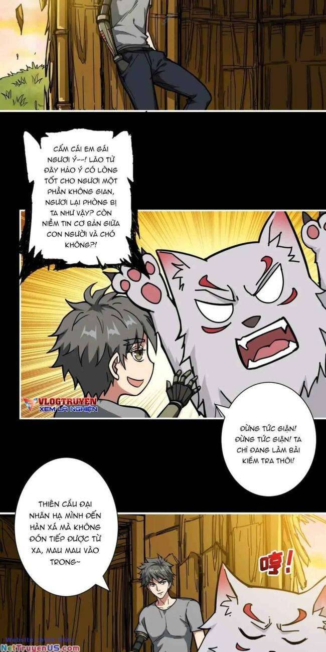 Trang 19