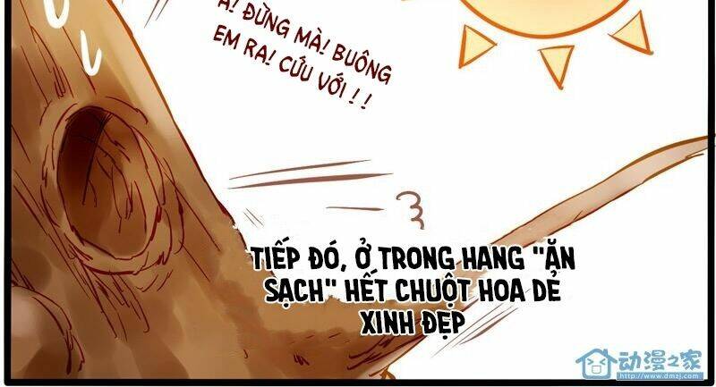 Chương 8 - Trang 19