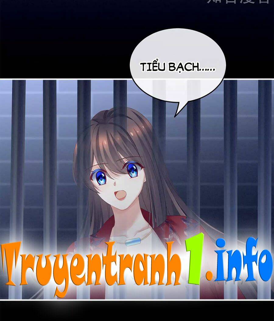Chương 164 - Trang 5