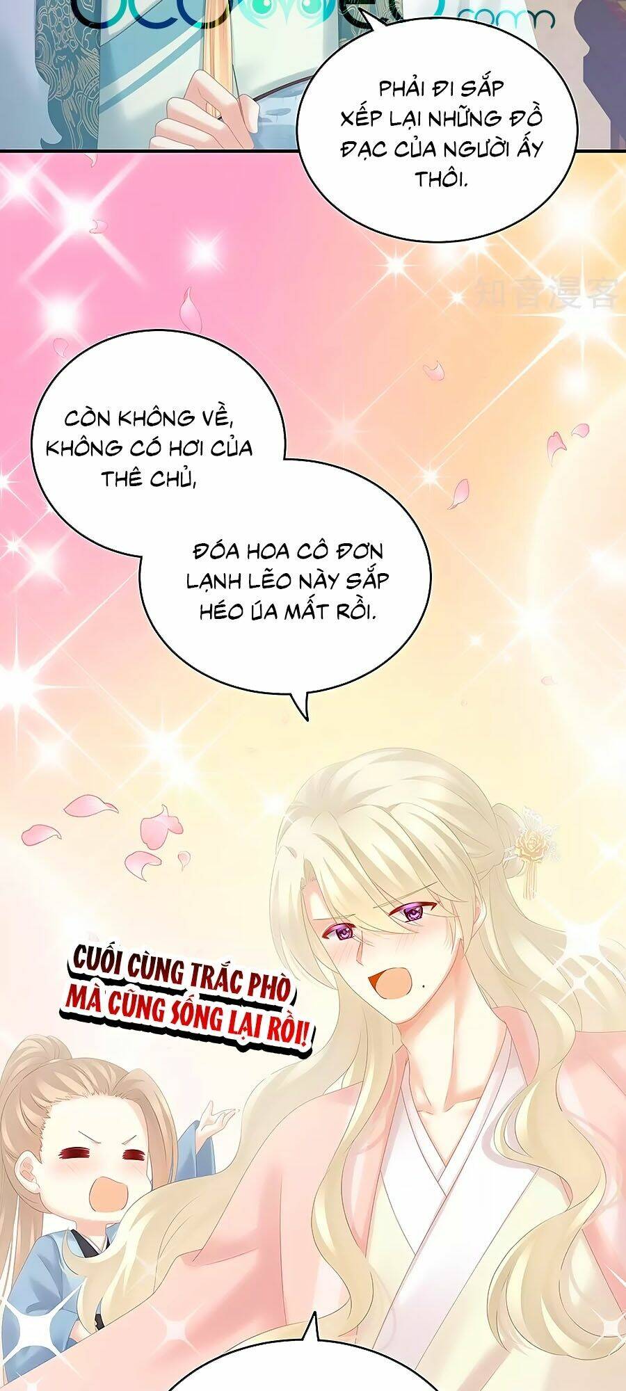 Chương 188 - Trang 5