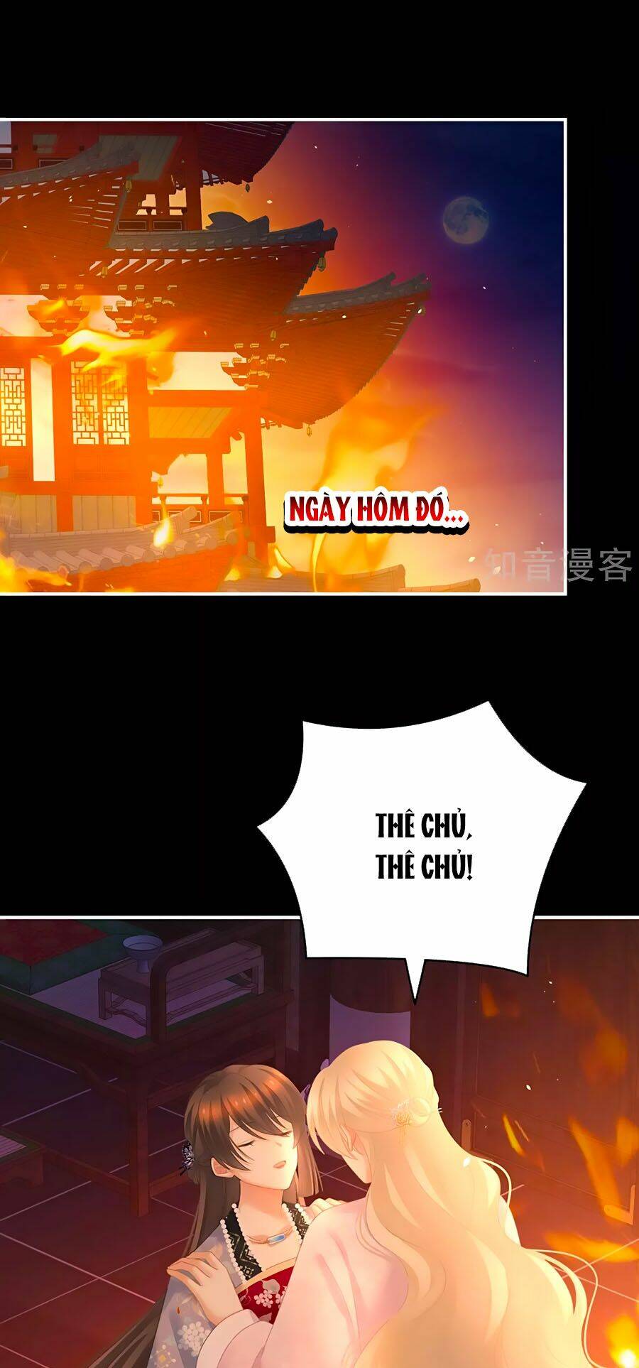 Chương 223 - Trang 1