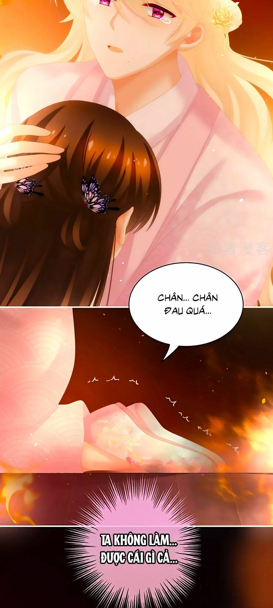 Chương 223 - Trang 5
