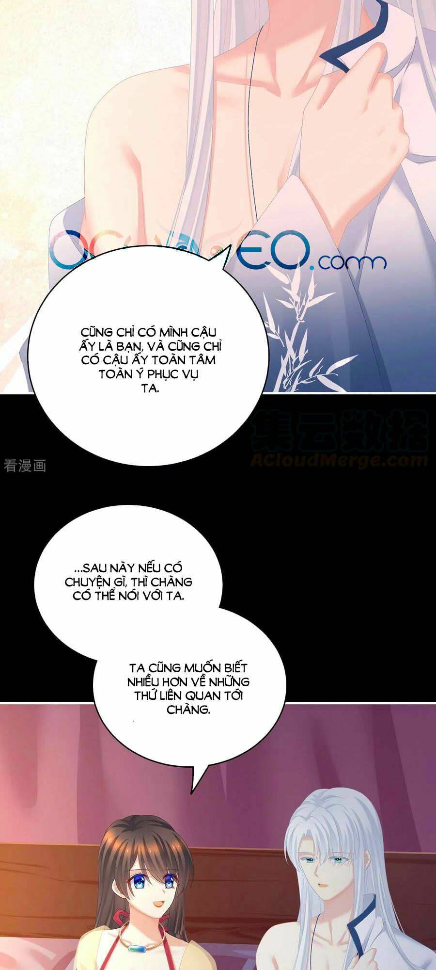 Chương 236 - Trang 3