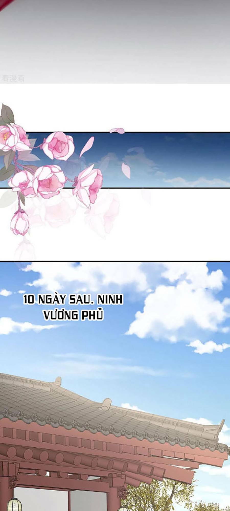 Chương 302 - Trang 13