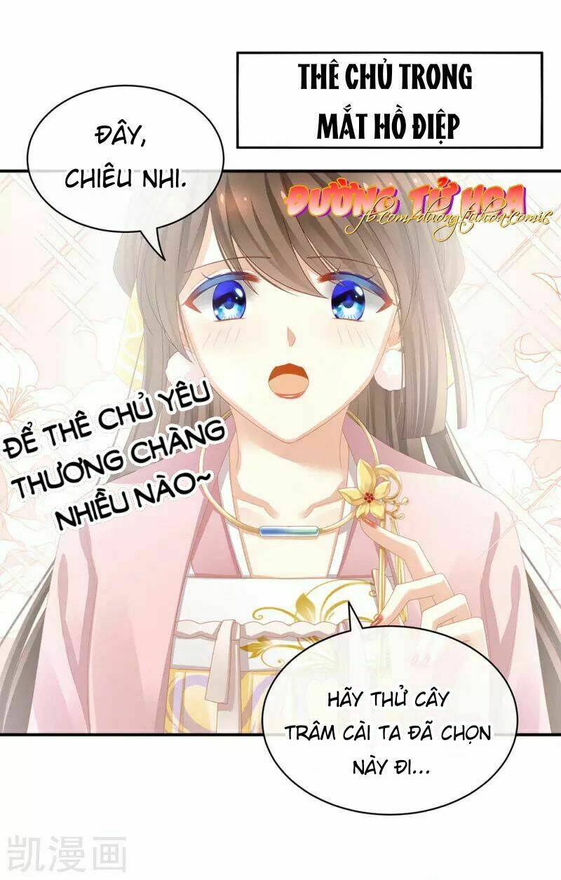 Chương 61 - Trang 14