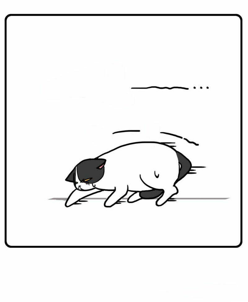 Chương 1 - Trang 12