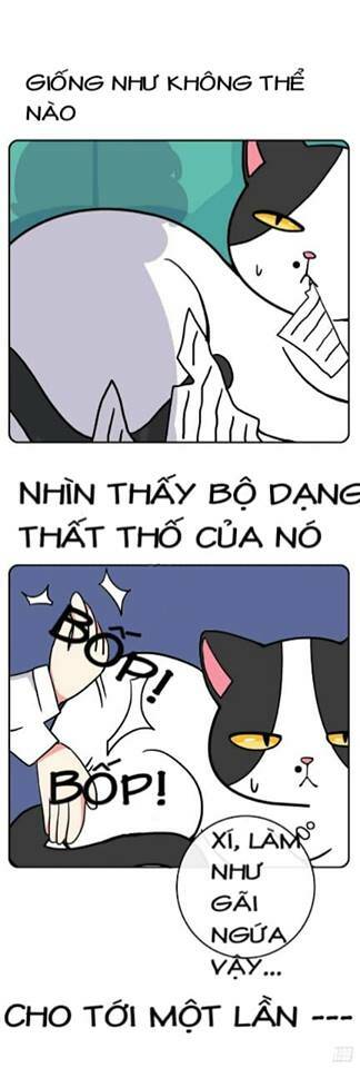 Chương 2 - Trang 5